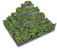 TRANSFORM TRAPLAST Pyramida na jahody 2*2*1m pětipatrová